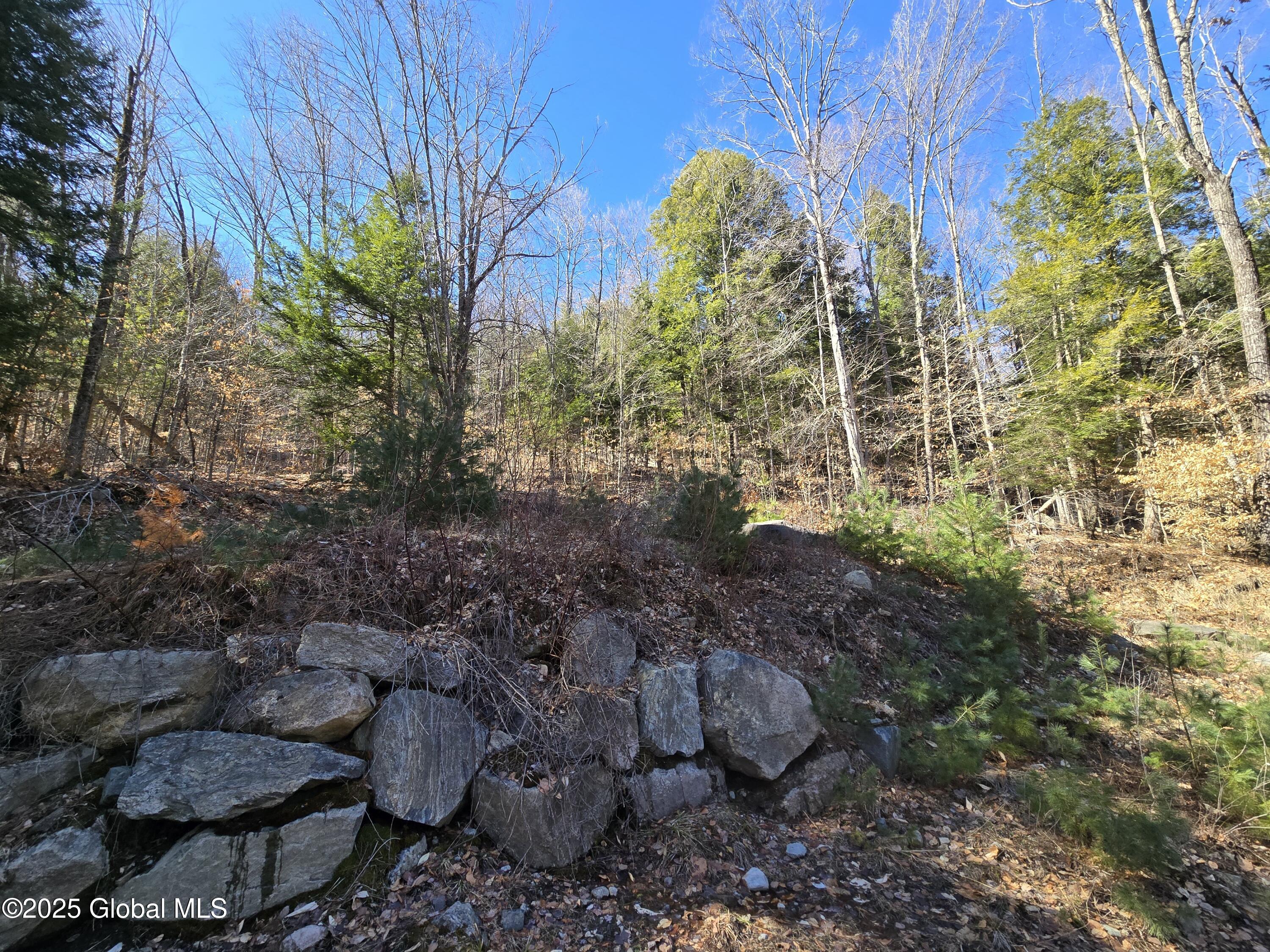 L11.231 Valentine Pond Road Pottersville, NY 12860 - Photo 12 of 22 20250323_145527