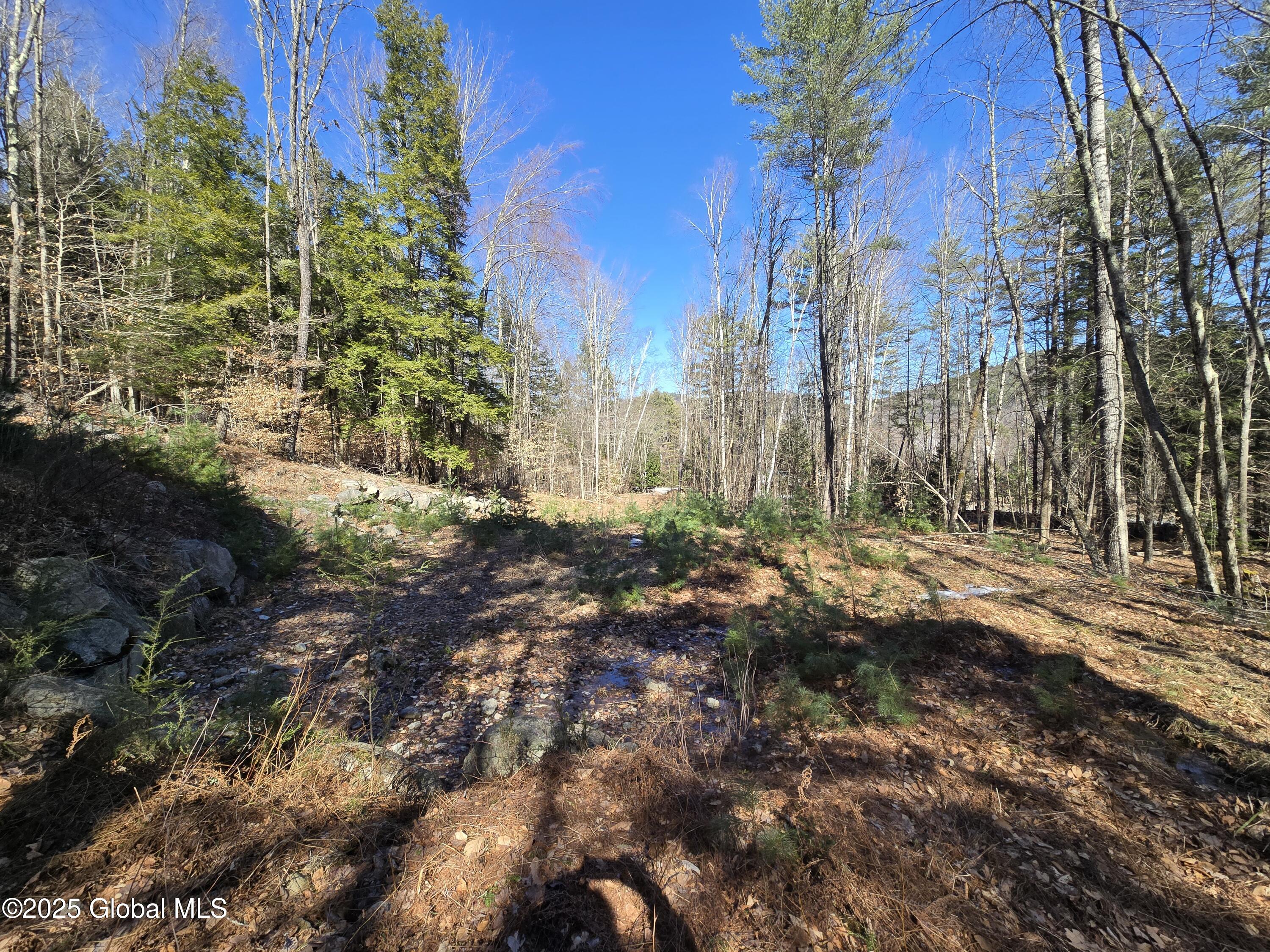 L11.231 Valentine Pond Road Pottersville, NY 12860 - Photo 13 of 22 20250323_145617
