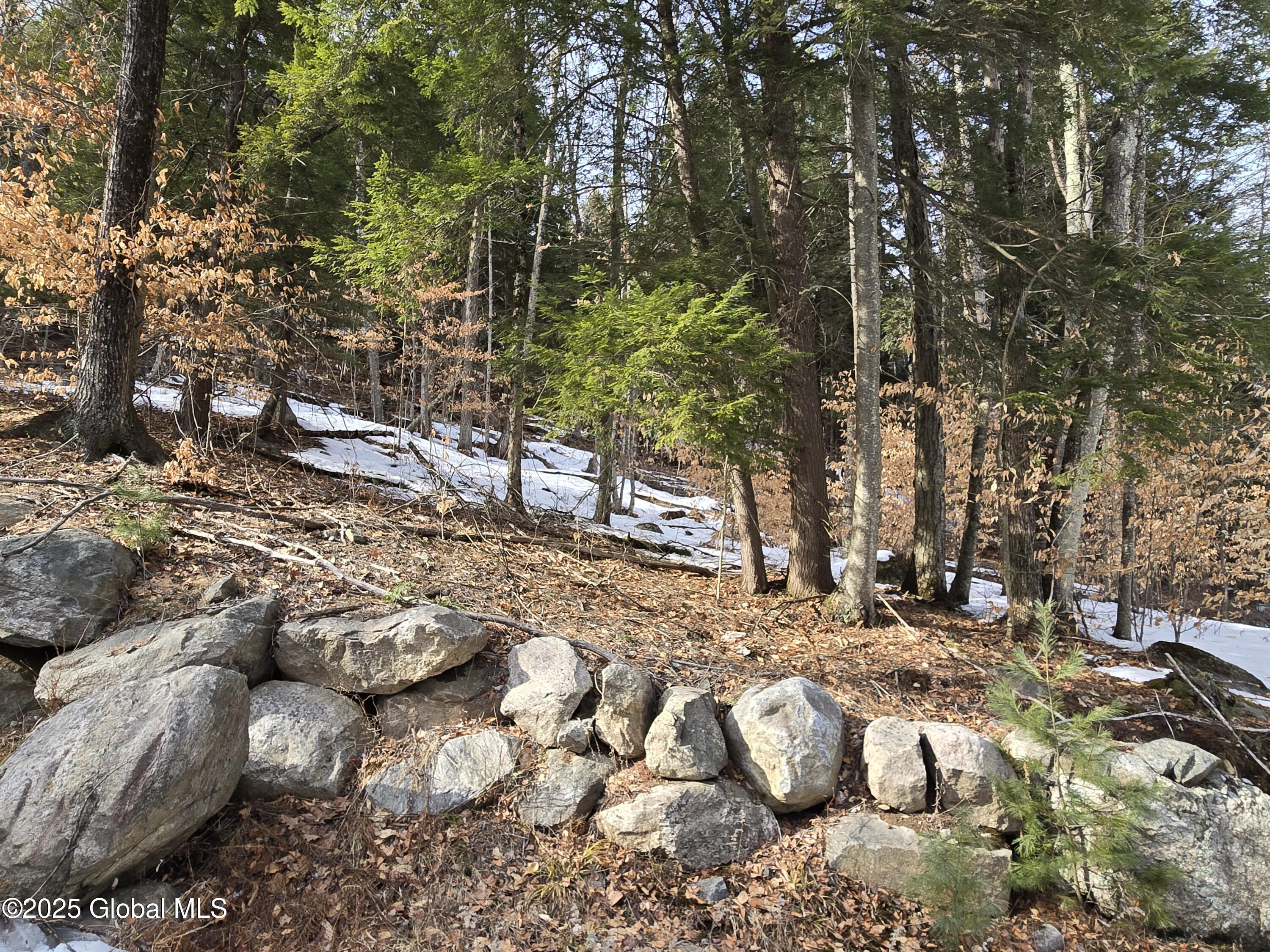 L11.231 Valentine Pond Road Pottersville, NY 12860 - Photo 14 of 22 20250313_154735