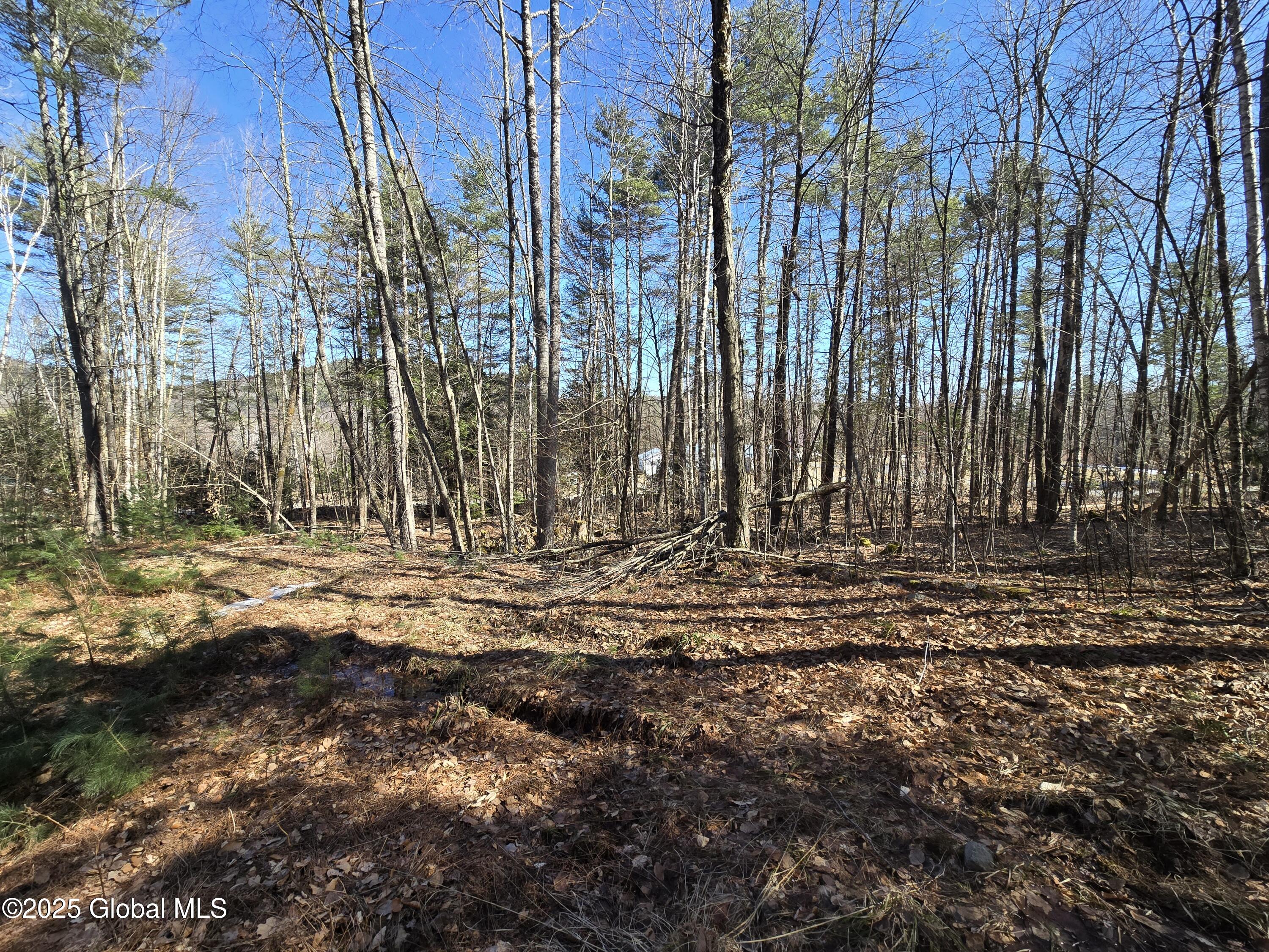 L11.231 Valentine Pond Road Pottersville, NY 12860 - Photo 15 of 22 20250323_145622