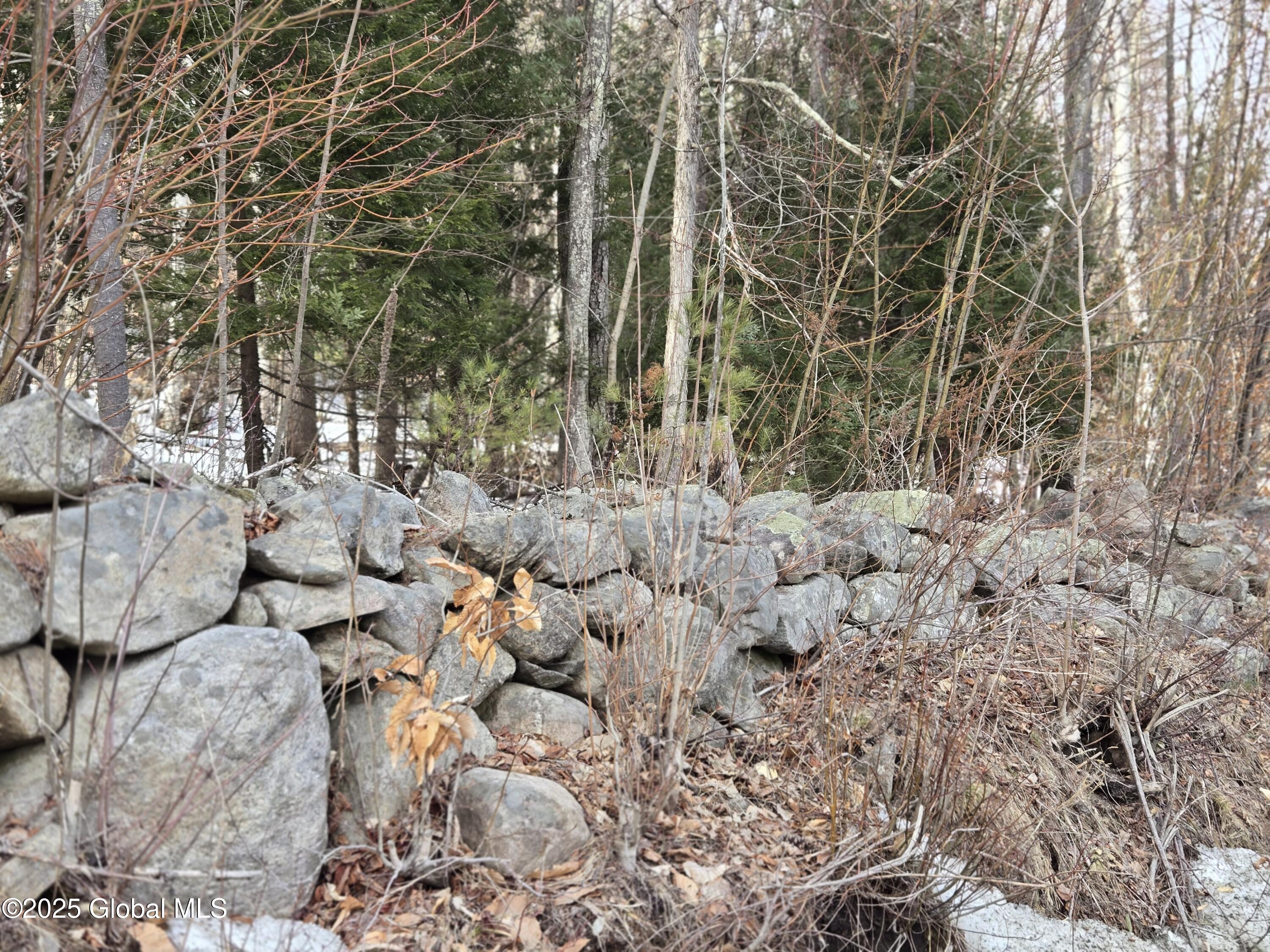 L11.231 Valentine Pond Road Pottersville, NY 12860 - Photo 16 of 22 20250313_154052