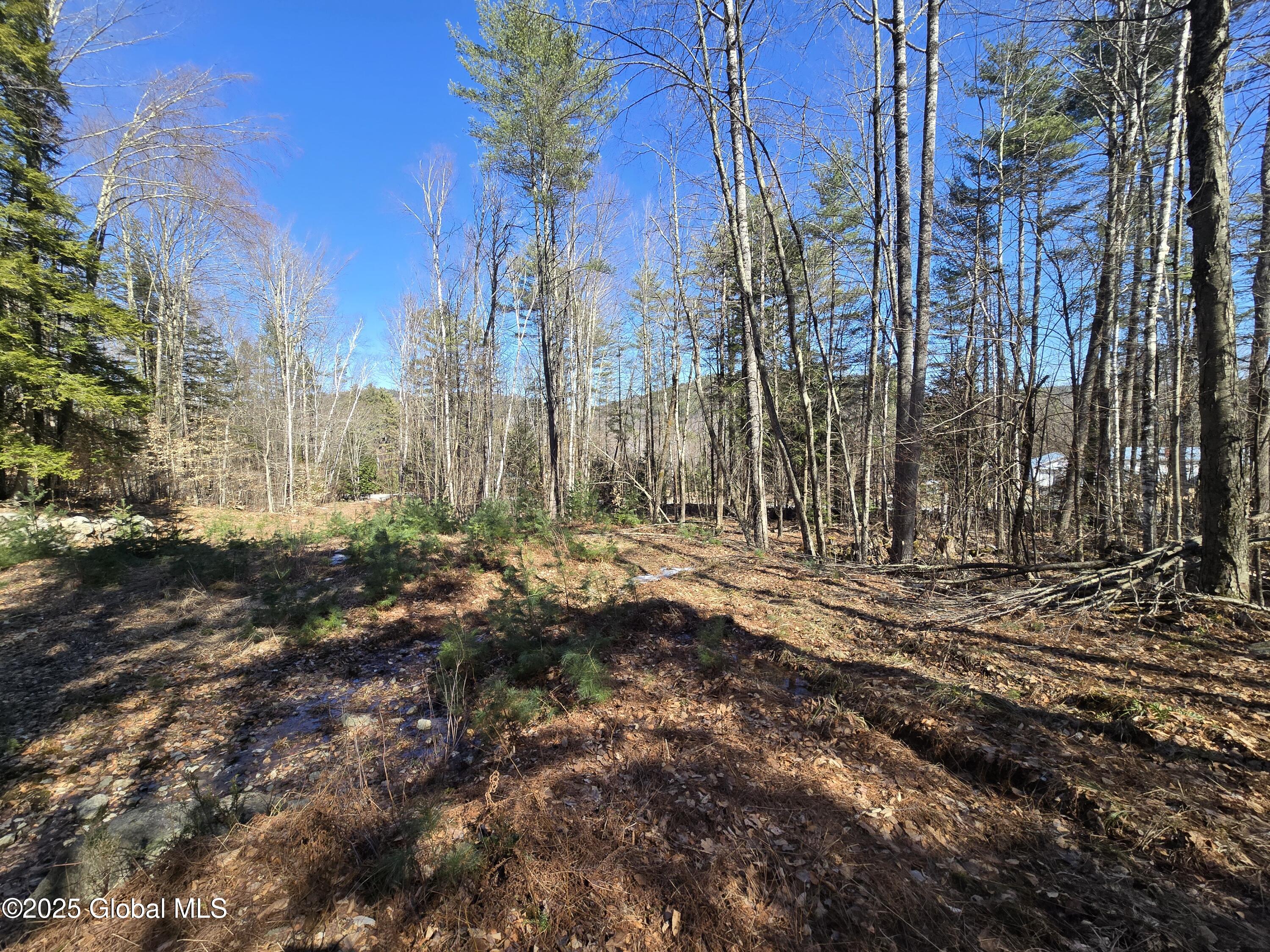 L11.231 Valentine Pond Road Pottersville, NY 12860 - Photo 17 of 22 20250323_145619