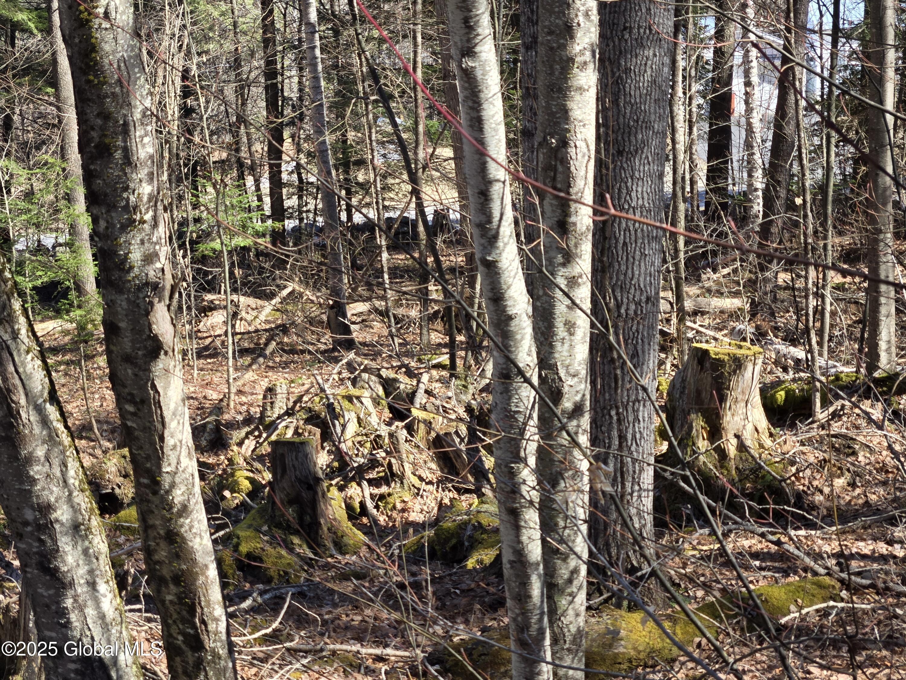 L11.231 Valentine Pond Road Pottersville, NY 12860 - Photo 18 of 22 20250323_145759