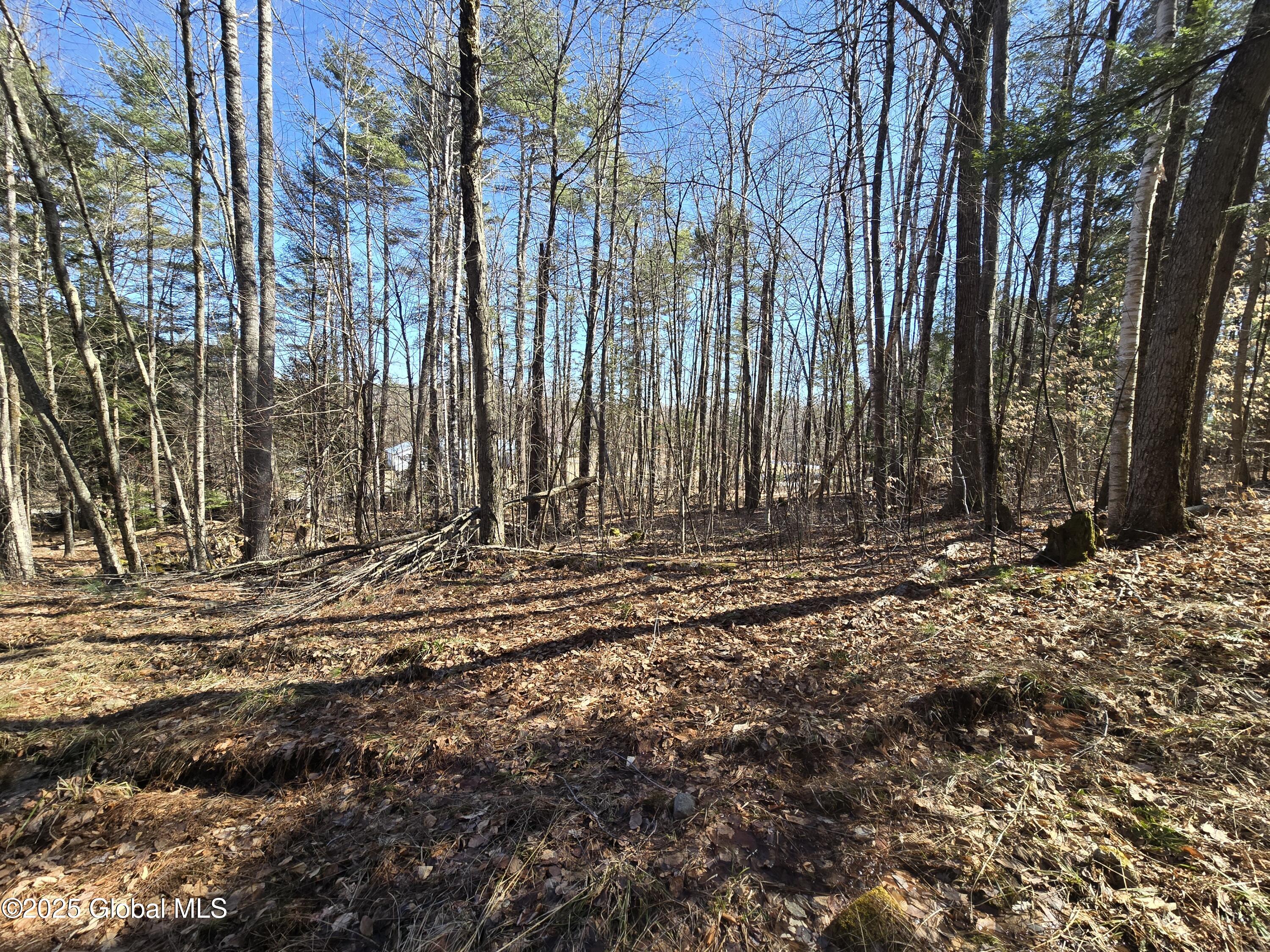 L11.231 Valentine Pond Road Pottersville, NY 12860 - Photo 19 of 22 20250323_145624