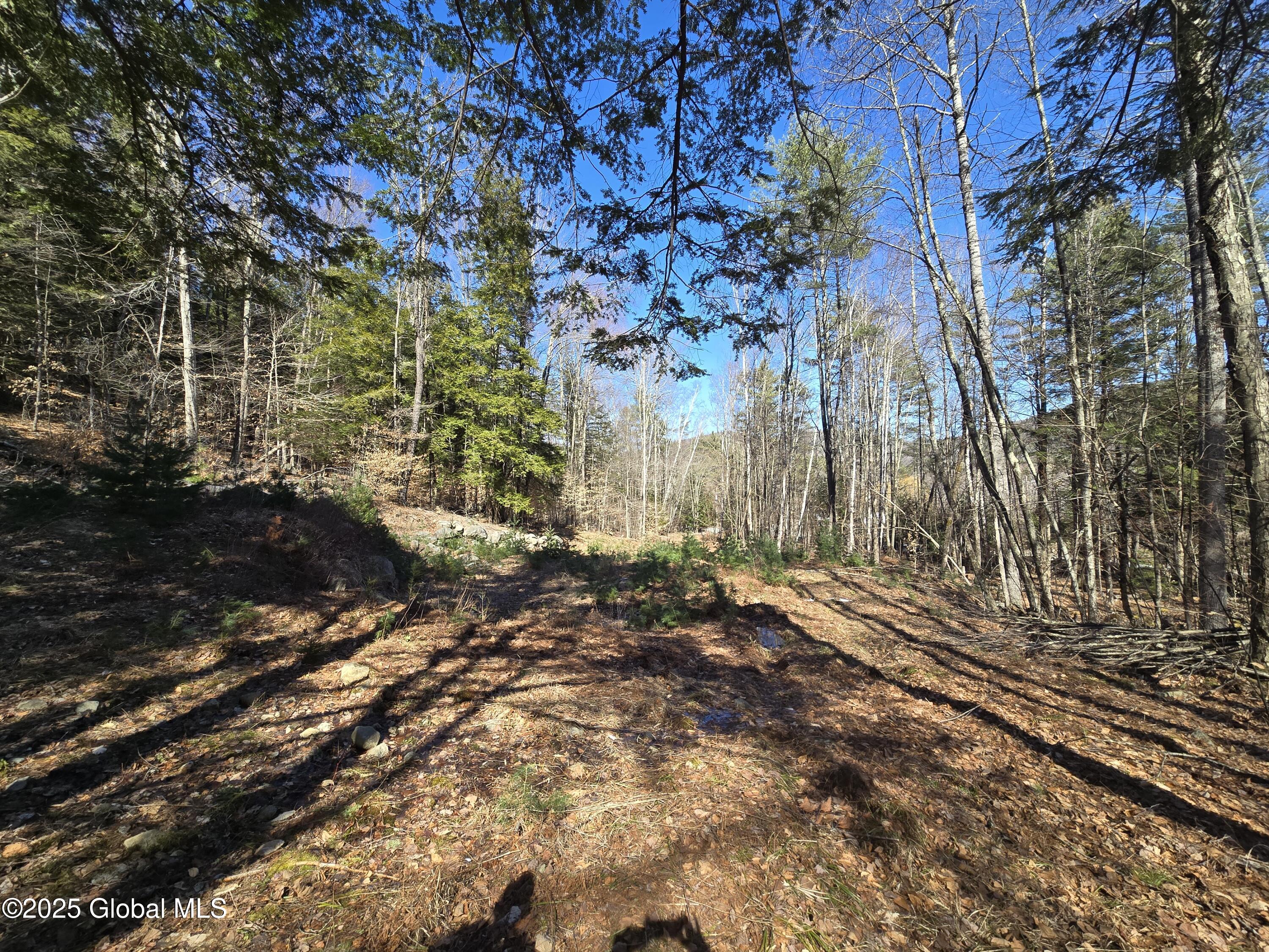 L11.231 Valentine Pond Road Pottersville, NY 12860 - Photo 20 of 22 20250323_145712