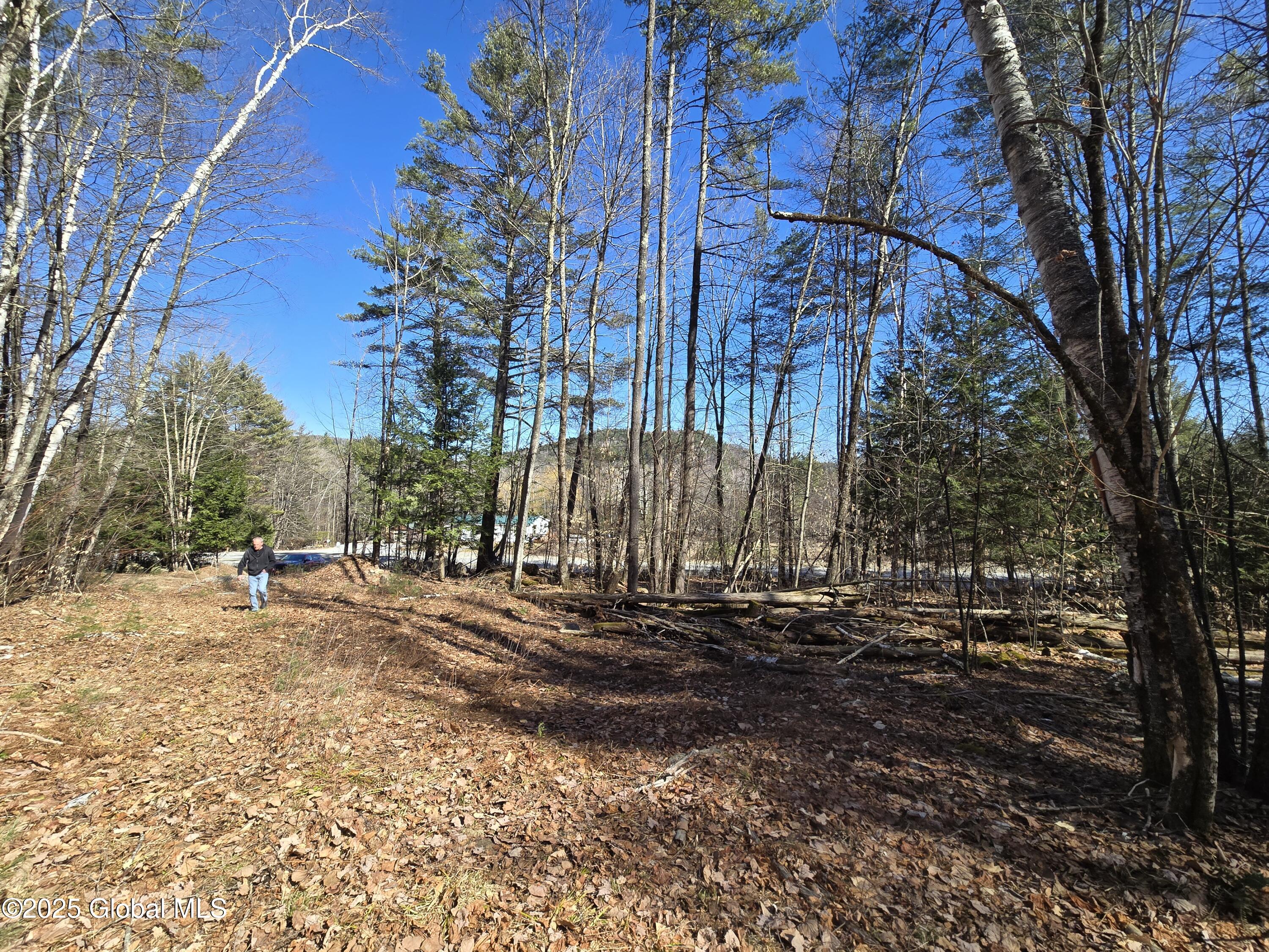 L11.231 Valentine Pond Road Pottersville, NY 12860 - Photo 2 of 22 20250323_145233