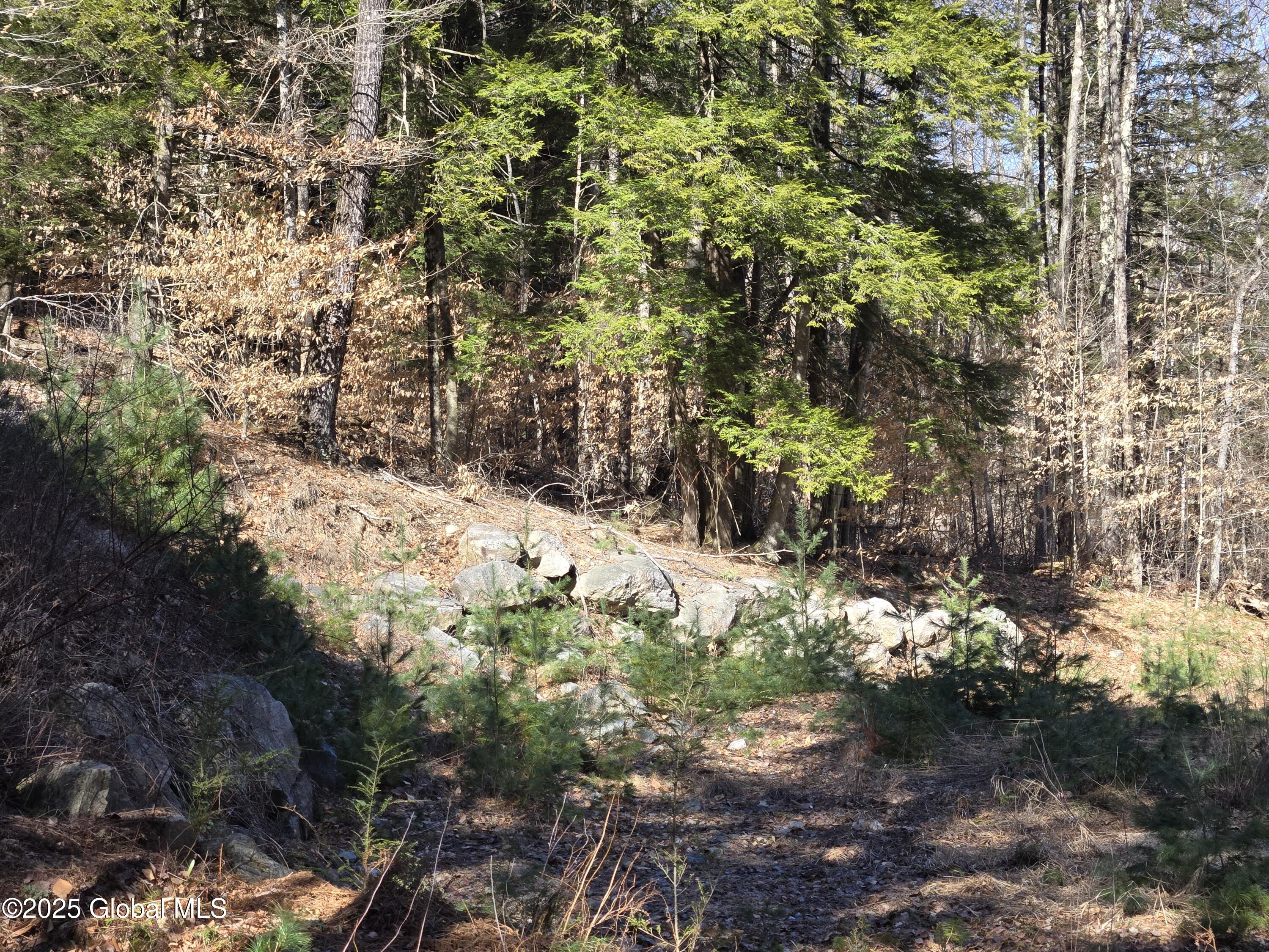 L11.231 Valentine Pond Road Pottersville, NY 12860 - Photo 21 of 22 20250323_145722