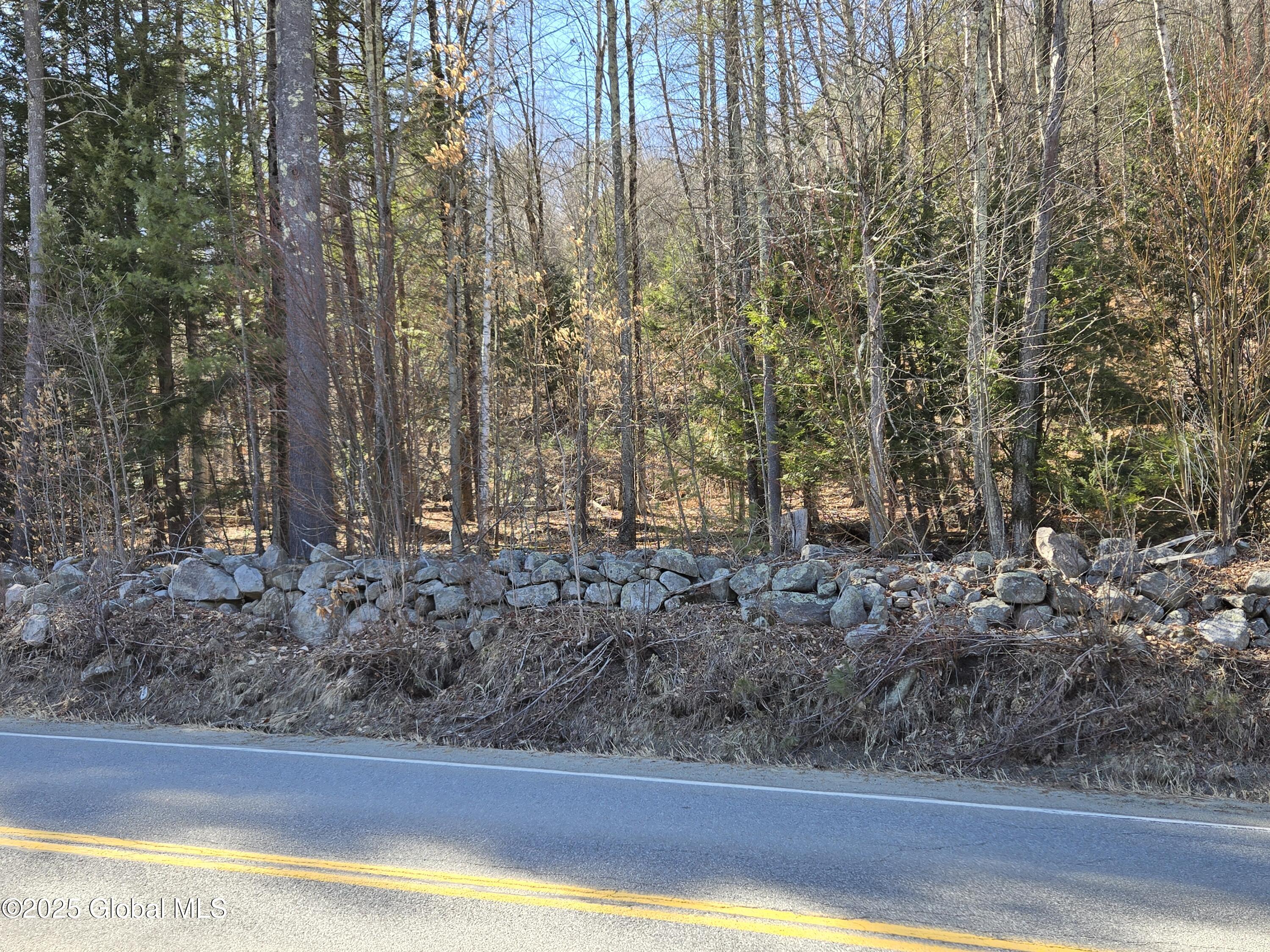 L11.231 Valentine Pond Road Pottersville, NY 12860 - Photo 22 of 22 20250323_150351