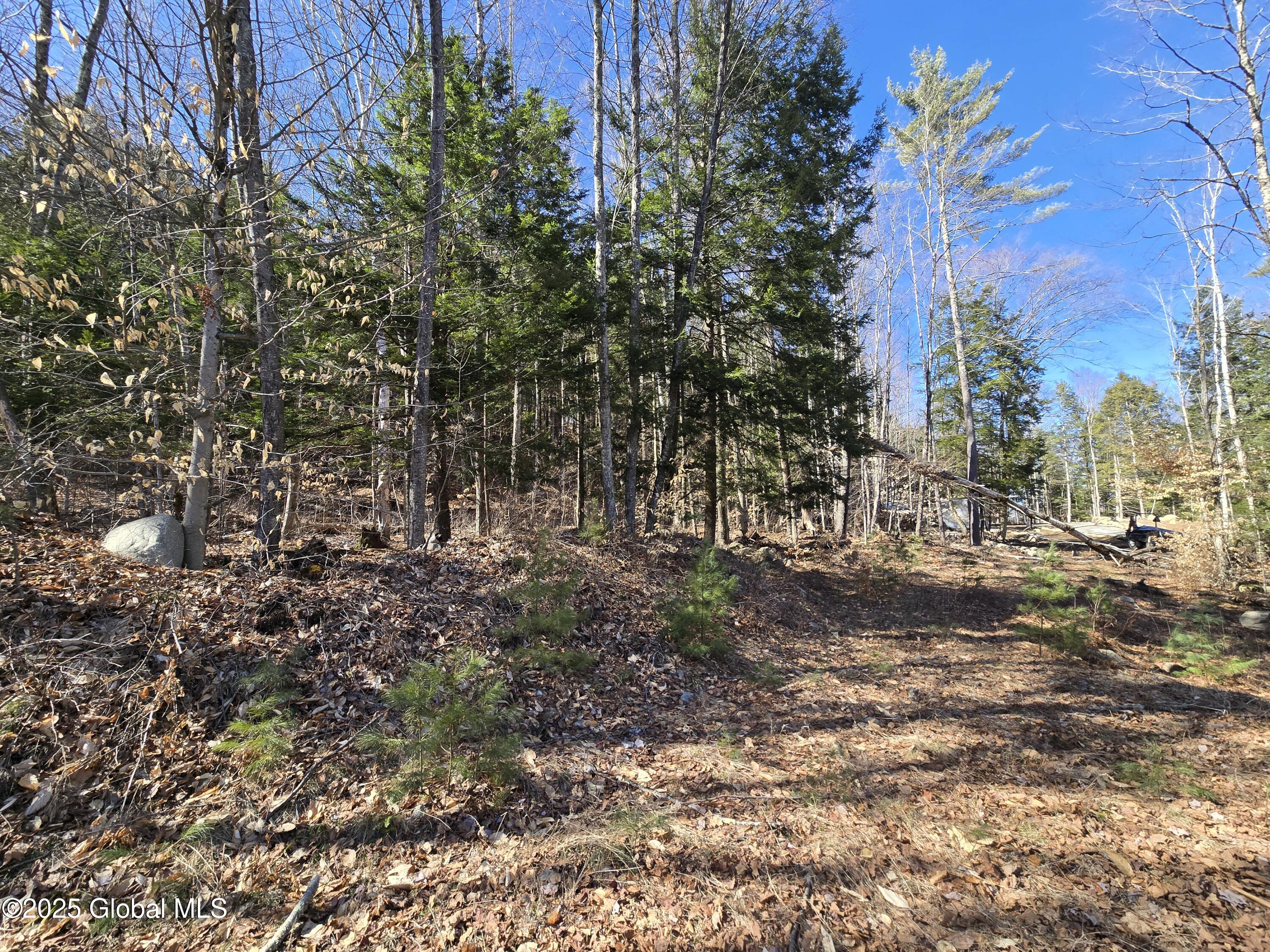 L11.231 Valentine Pond Road Pottersville, NY 12860 - Photo 3 of 22 20250323_145054