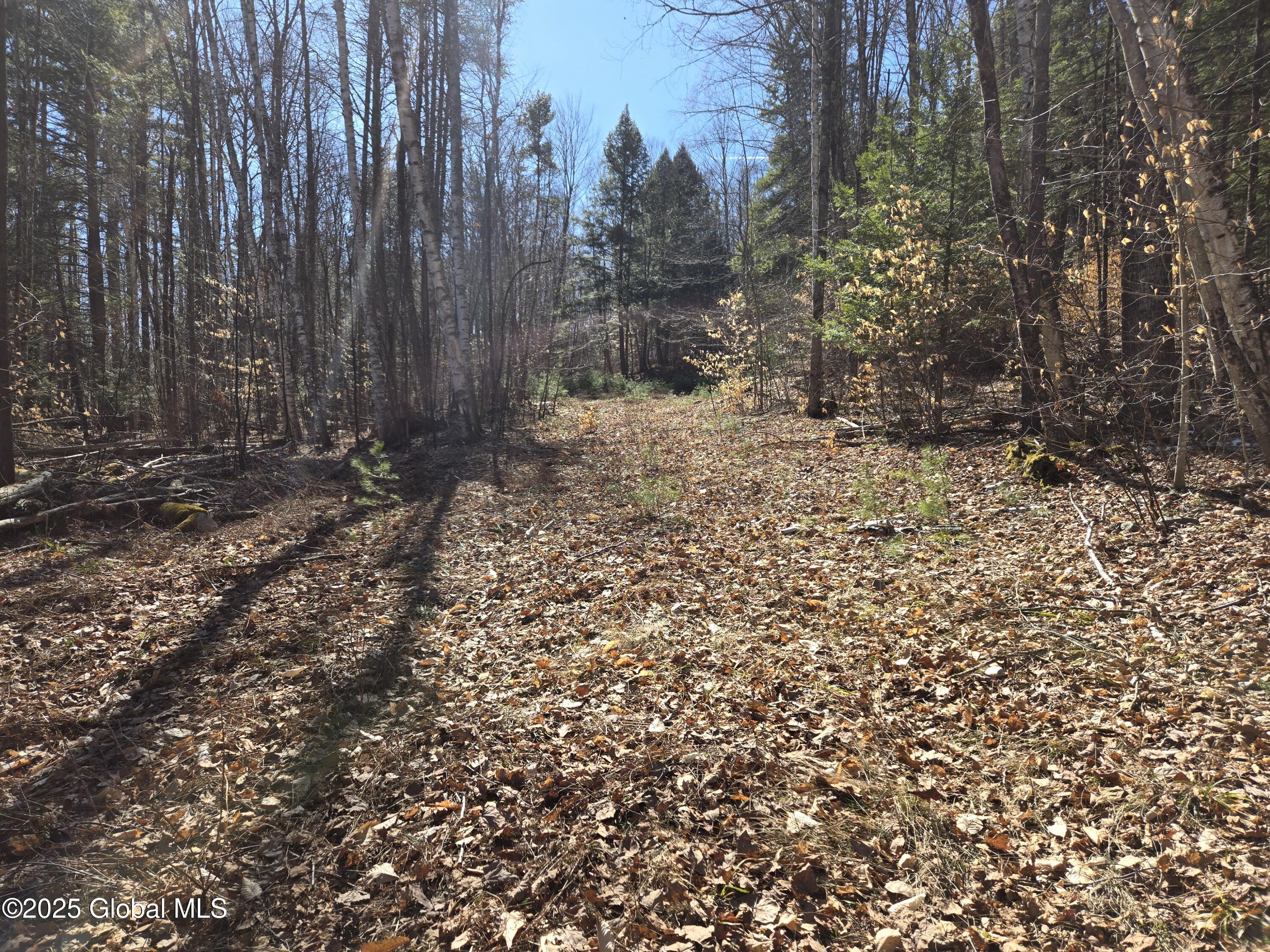 L11.231 Valentine Pond Road Pottersville, NY 12860 - Photo 4 of 22 20250323_145139