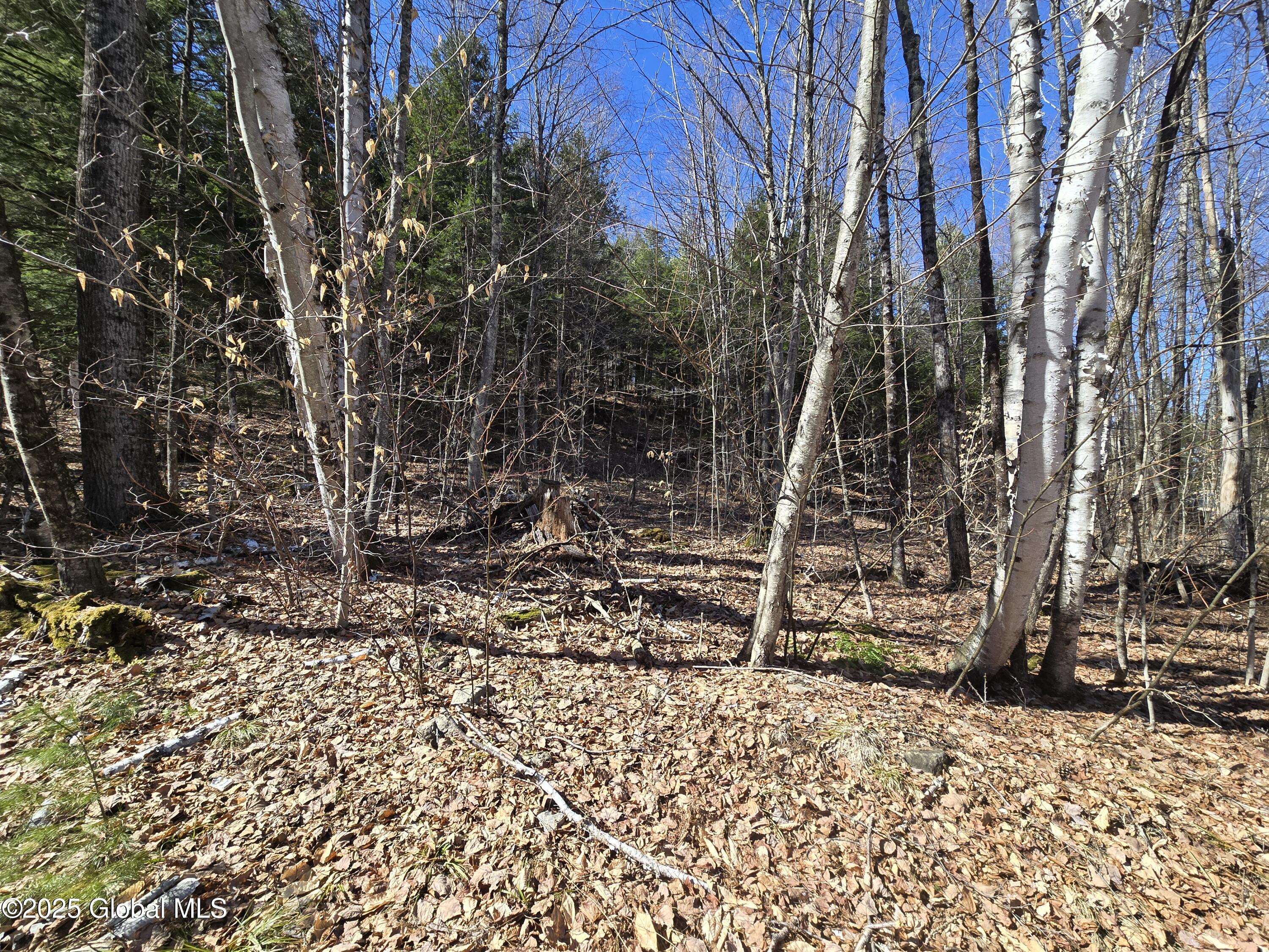L11.231 Valentine Pond Road Pottersville, NY 12860 - Photo 5 of 22 20250323_145207