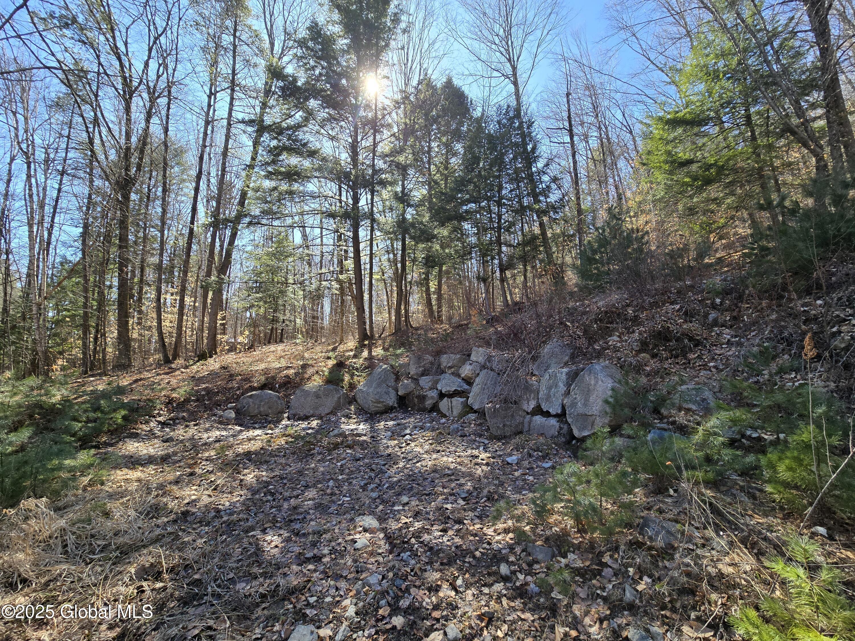 L11.231 Valentine Pond Road Pottersville, NY 12860 - Photo 6 of 22 20250323_145456