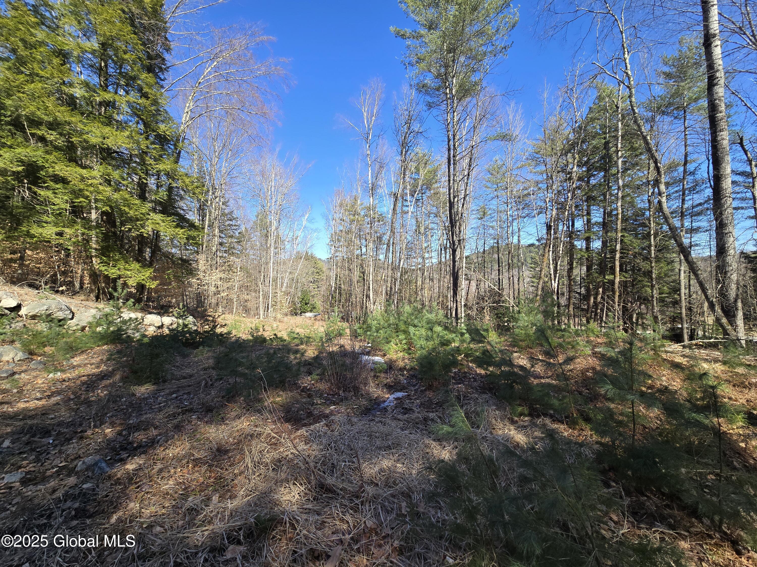 L11.231 Valentine Pond Road Pottersville, NY 12860 - Photo 7 of 22 20250323_145511