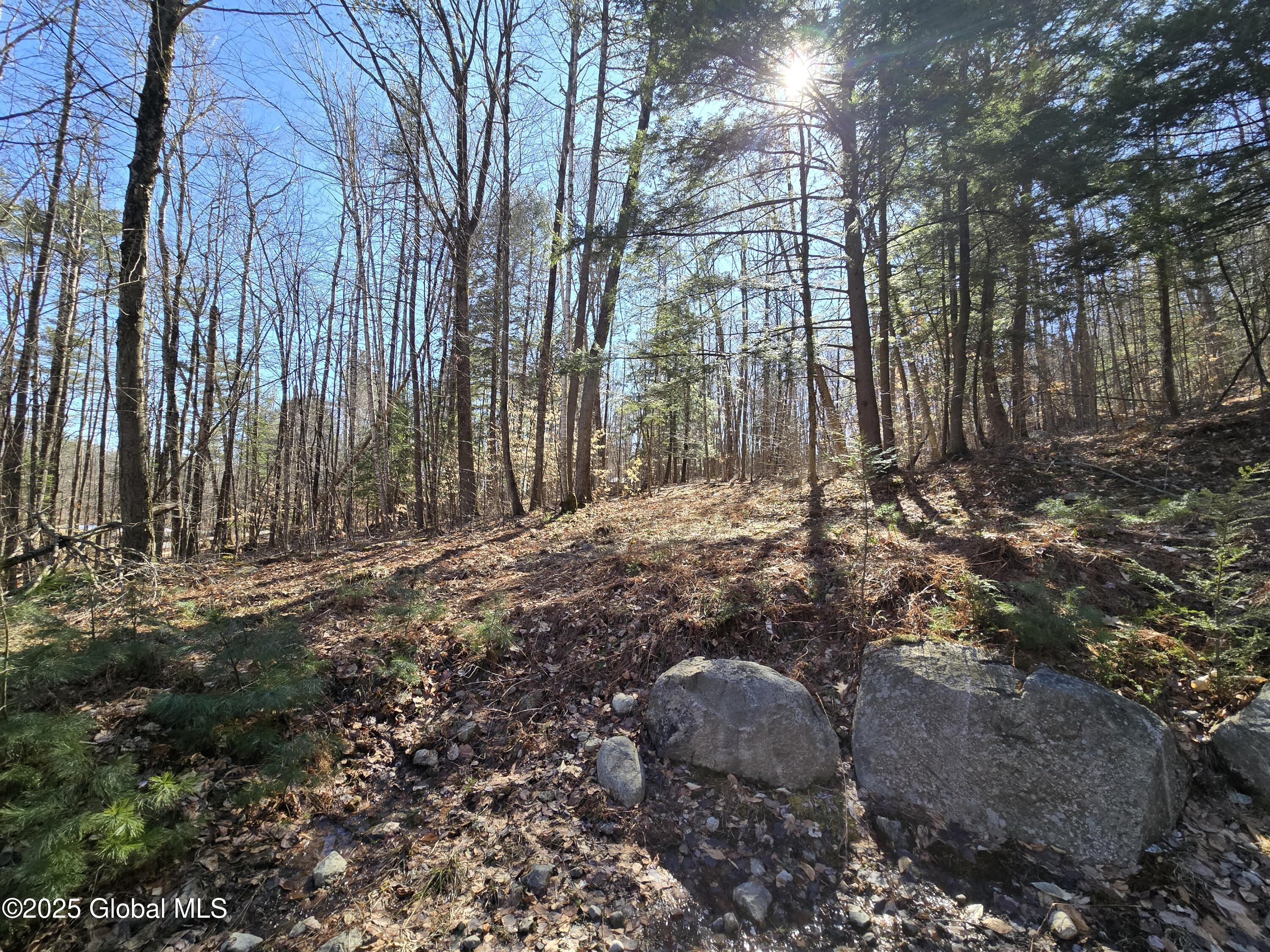 L11.231 Valentine Pond Road Pottersville, NY 12860 - Photo 8 of 22 20250323_145516
