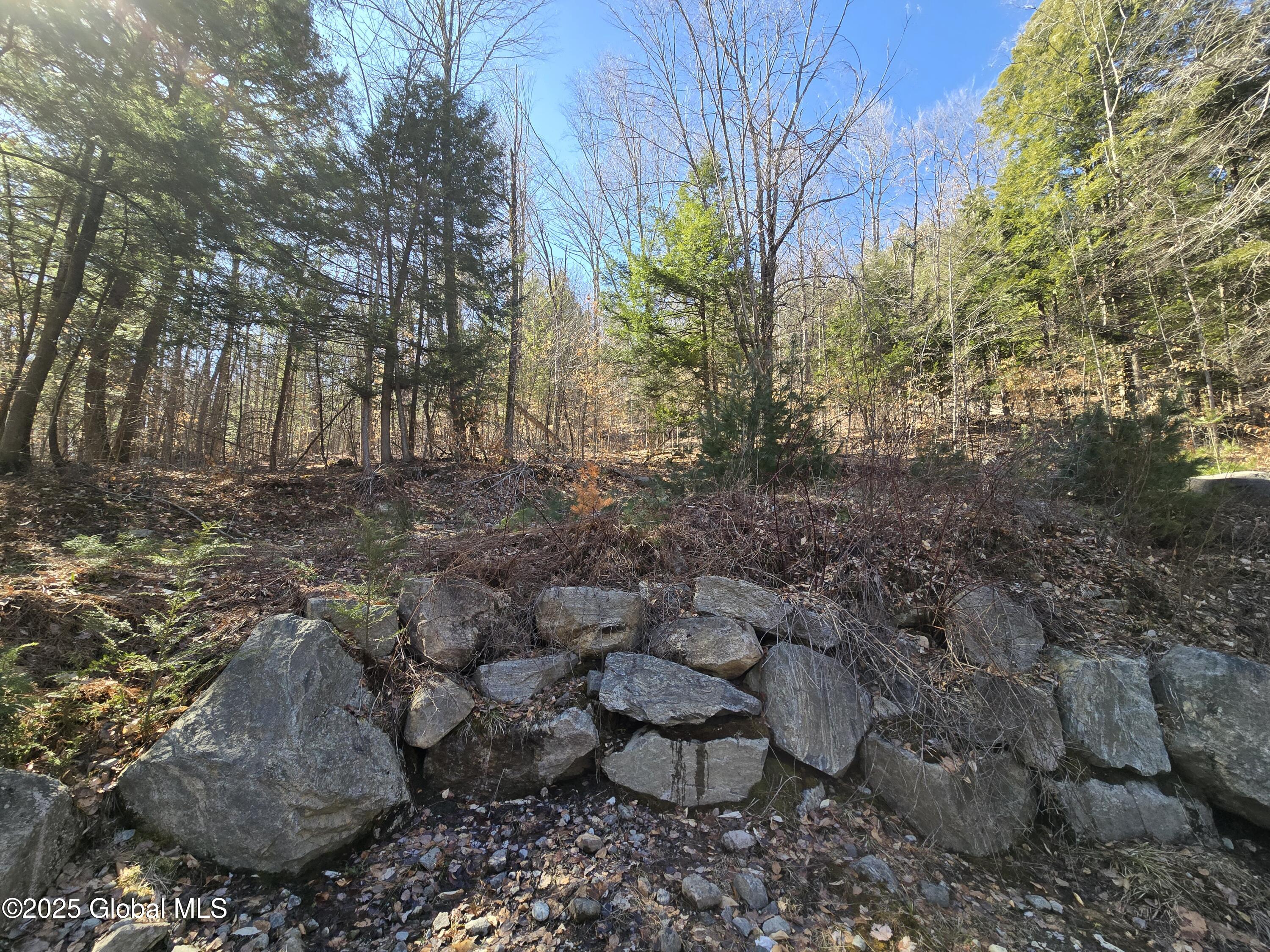 L11.231 Valentine Pond Road Pottersville, NY 12860 - Photo 10 of 22 20250323_145521