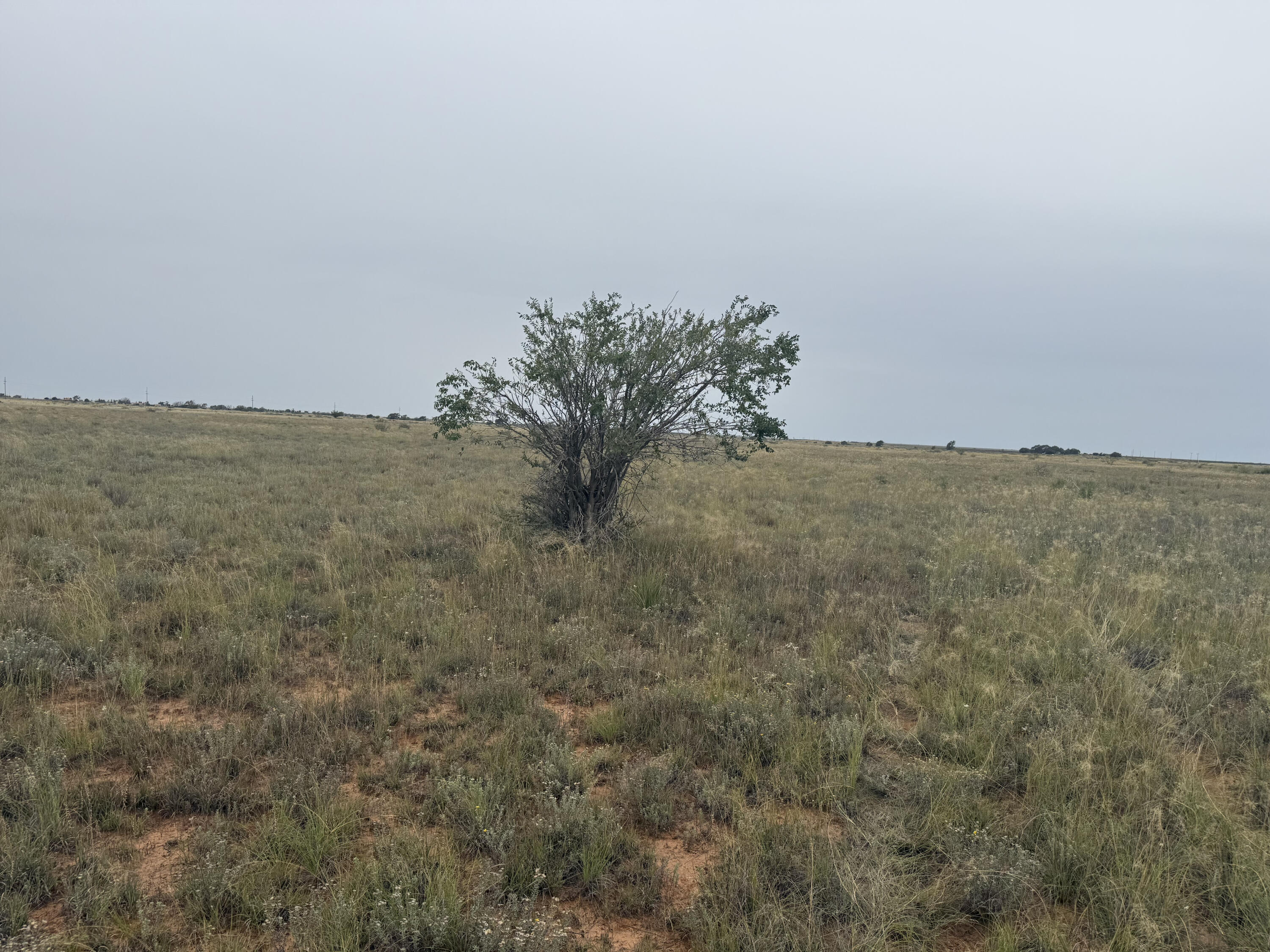 0 Fm 168 Brownfield, TX 79316 - Photo 3 of 10 IMG_0630
