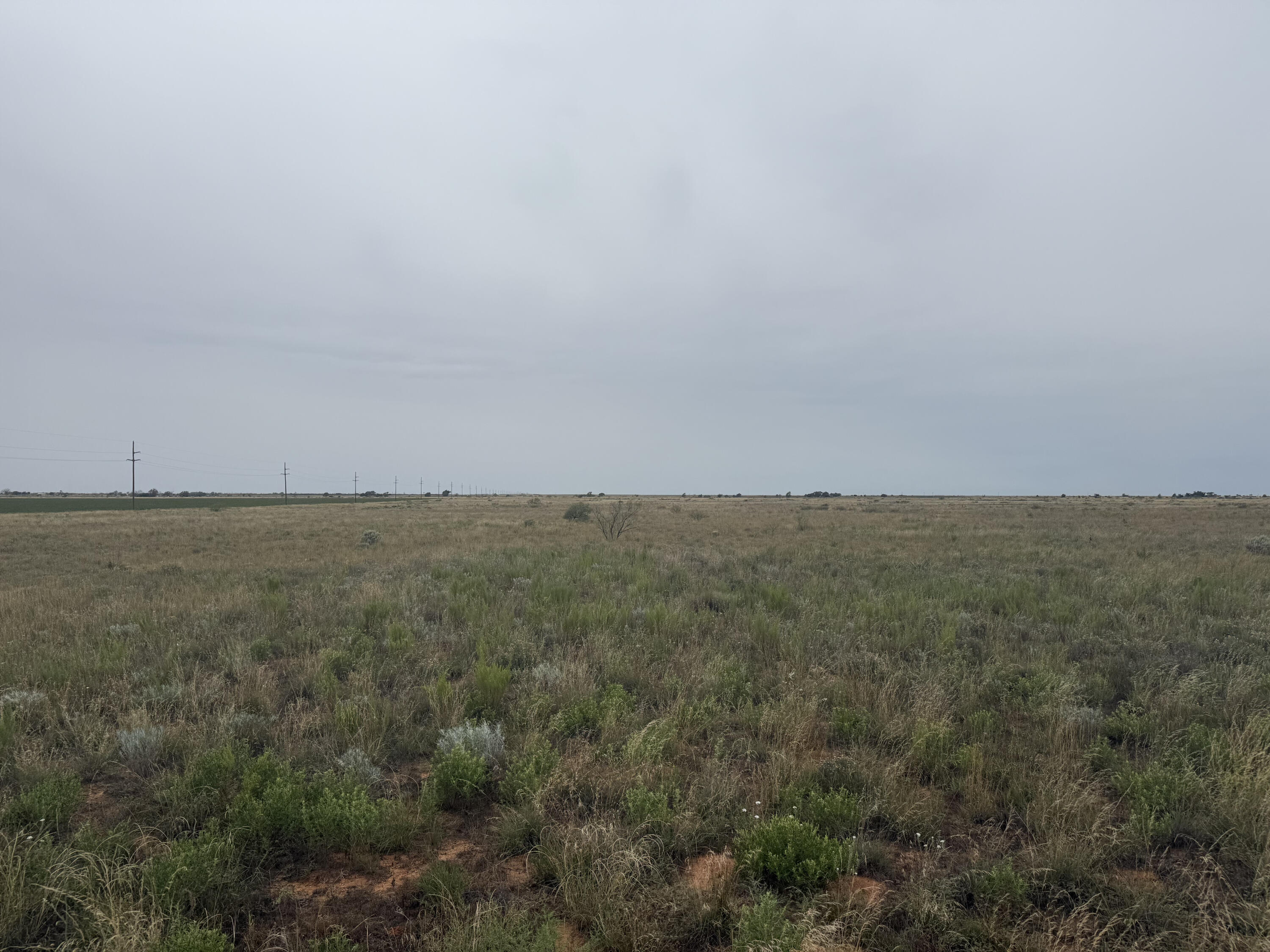 0 Fm 168 Brownfield, TX 79316 - Photo 4 of 10 IMG_0624