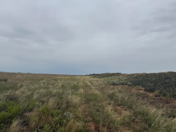 $410,700 | 0 Fm 168, Brownfield, TX 79316