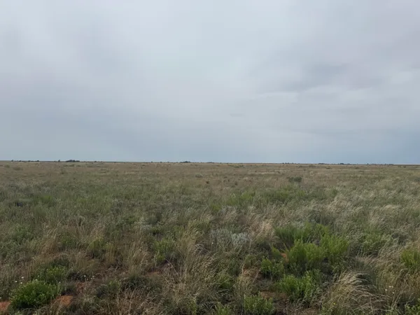 $410,700 | 0 Fm 168, Brownfield, TX 79316