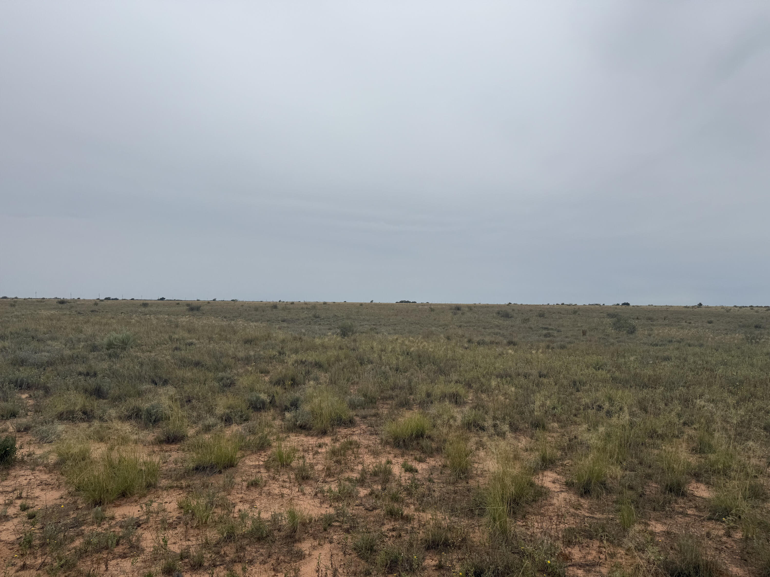 0 Fm 168 Brownfield, TX 79316 - Photo 7 of 10 IMG_0628