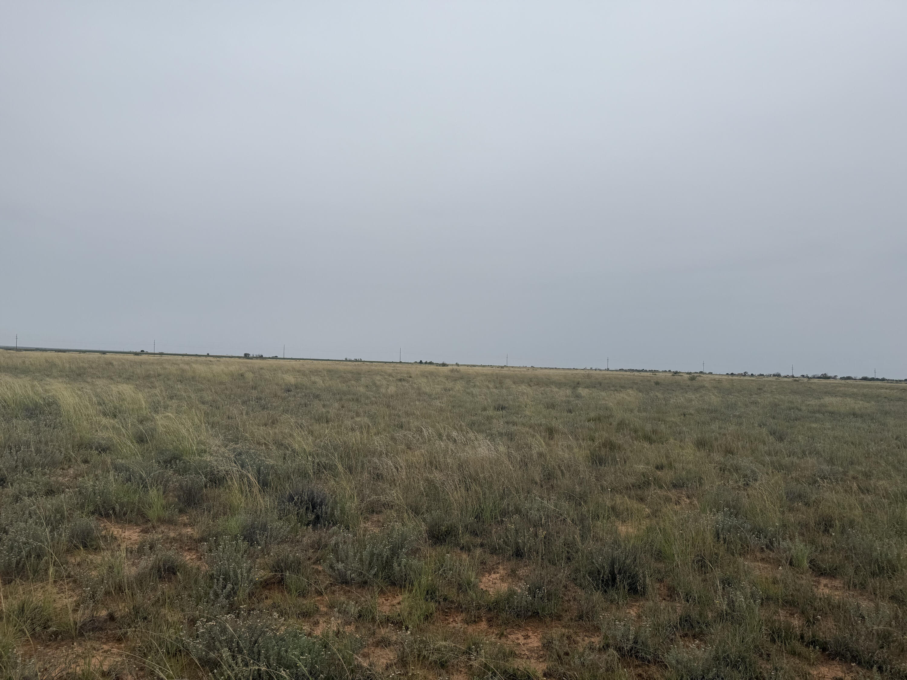 0 Fm 168 Brownfield, TX 79316 - Photo 9 of 10 IMG_0631