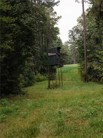 $217,500 | 0 Highway 1199, Elmer, LA 71424