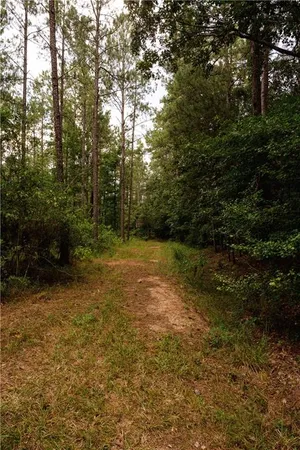 $195,000 | 0 Highway 1199, Elmer, LA 71424