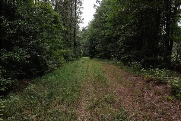 $195,000 | 0 Highway 1199, Elmer, LA 71424