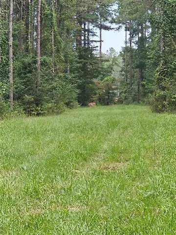 $217,500 | 0 Highway 1199, Elmer, LA 71424