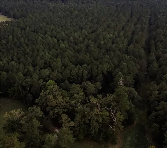 $217,500 | 0 Highway 1199, Elmer, LA 71424