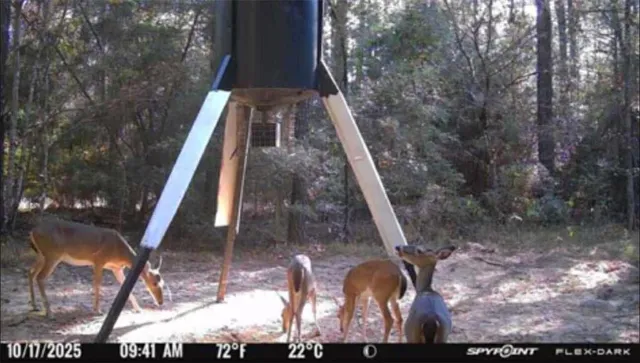 $217,500 | 0 Highway 1199, Elmer, LA 71424