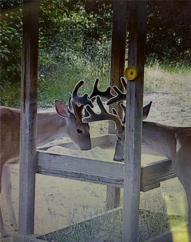 $217,500 | 0 Highway 1199, Elmer, LA 71424