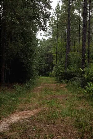 $195,000 | 0 Highway 1199, Elmer, LA 71424