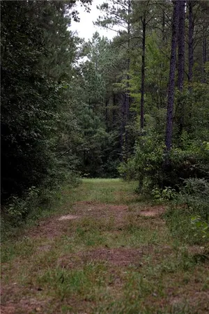 $195,000 | 0 Highway 1199, Elmer, LA 71424