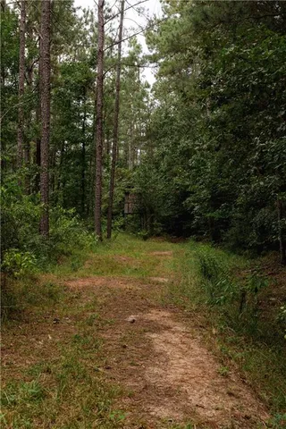 $217,500 | 0 Highway 1199, Elmer, LA 71424