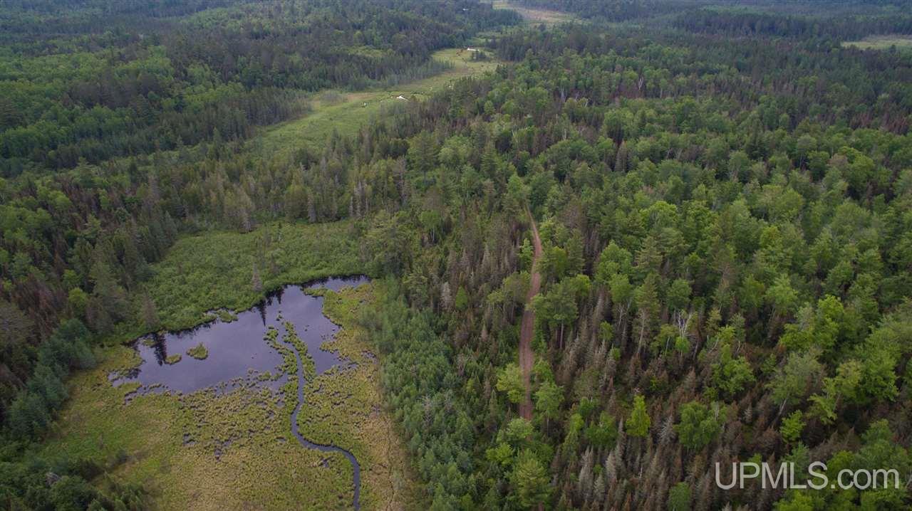80-acres County Rd FFH Ishpeming, MI 49849 - Photo 5 of 28