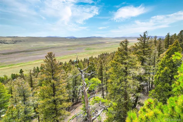 $60,000 | 0 Trout Creek Lane, Fairplay, CO 80440