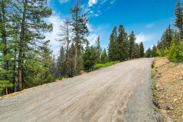 $60,000 | 0 Trout Creek Lane, Fairplay, CO 80440