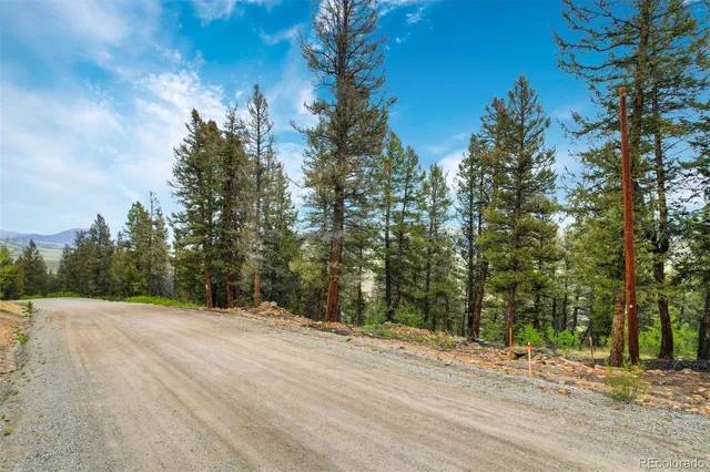 $60,000 | 0 Trout Creek Lane, Fairplay, CO 80440