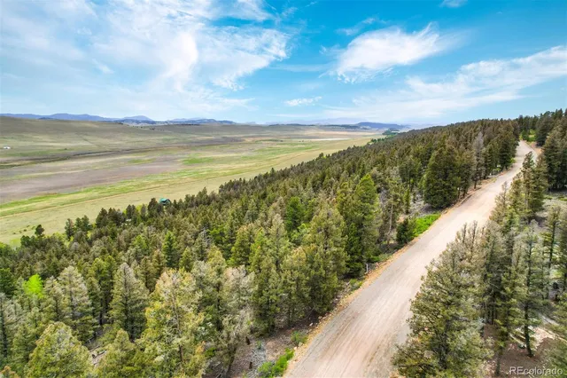 $60,000 | 0 Trout Creek Lane, Fairplay, CO 80440