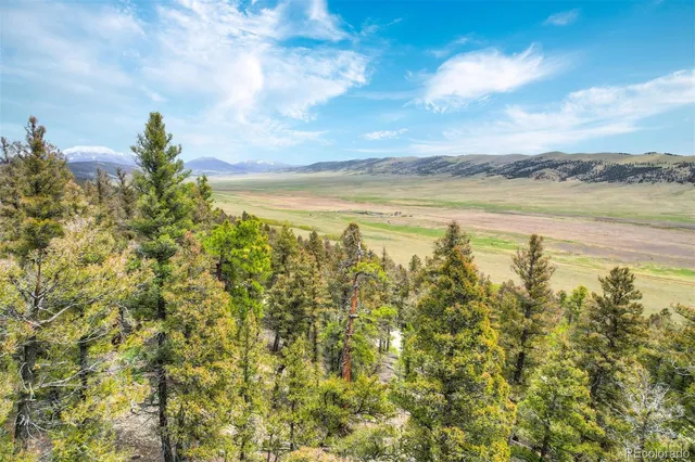 $60,000 | 0 Trout Creek Lane, Fairplay, CO 80440