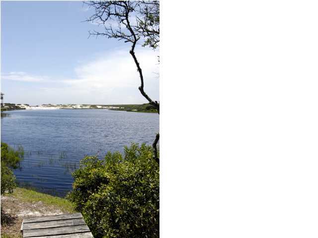 88 Don Bishop Road Santa Rosa Beach, FL 32459 - Photo 10 of 10 a view of a garden