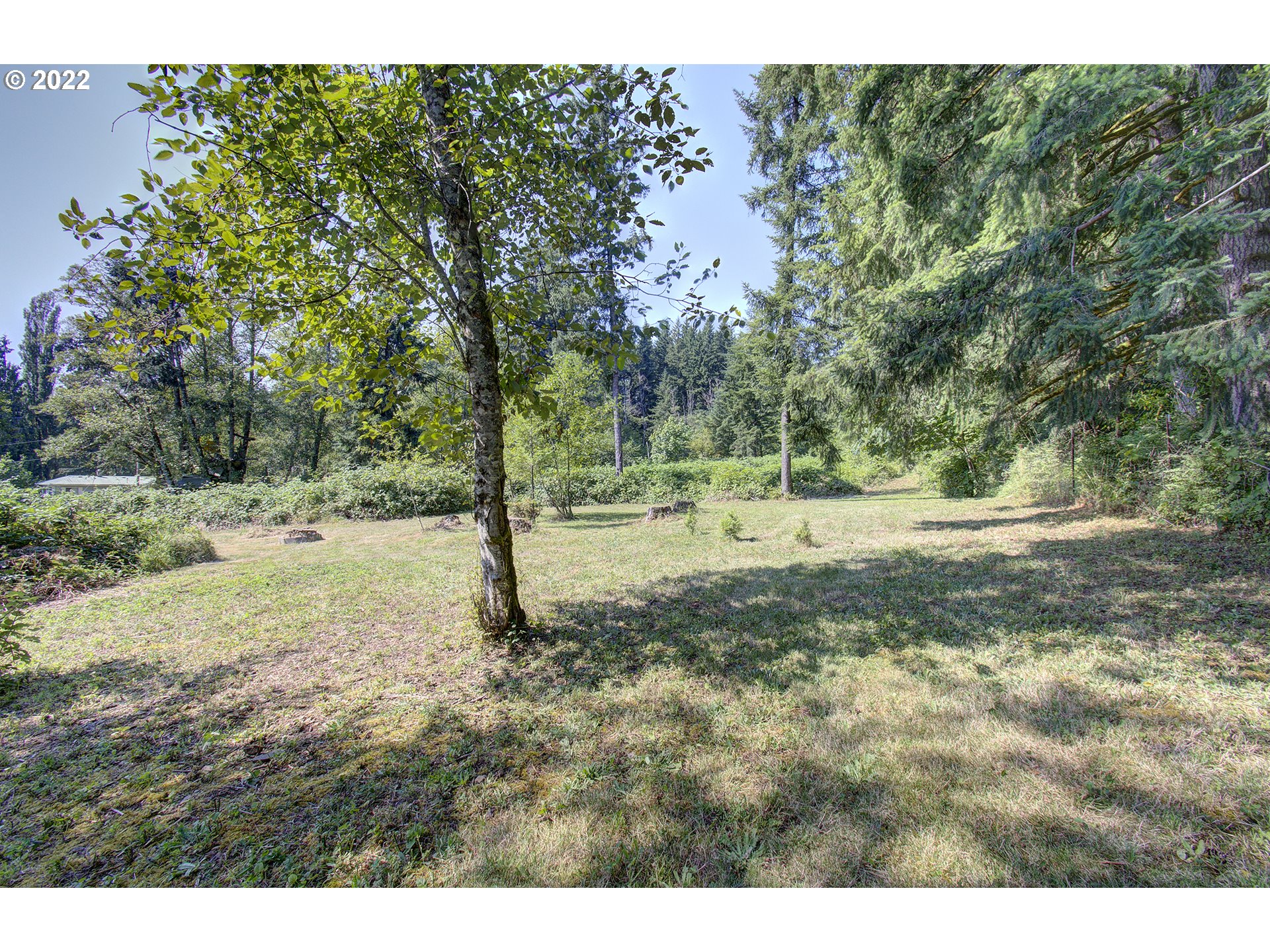 24416 Northeast Berry Road Battle Ground, WA 98604 - Photo 25 of 31 a view of a yard with a tree