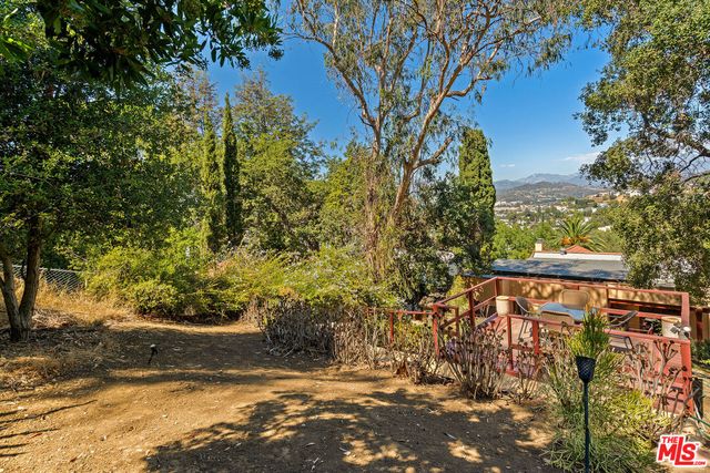 a view of a yard with plants and trees
