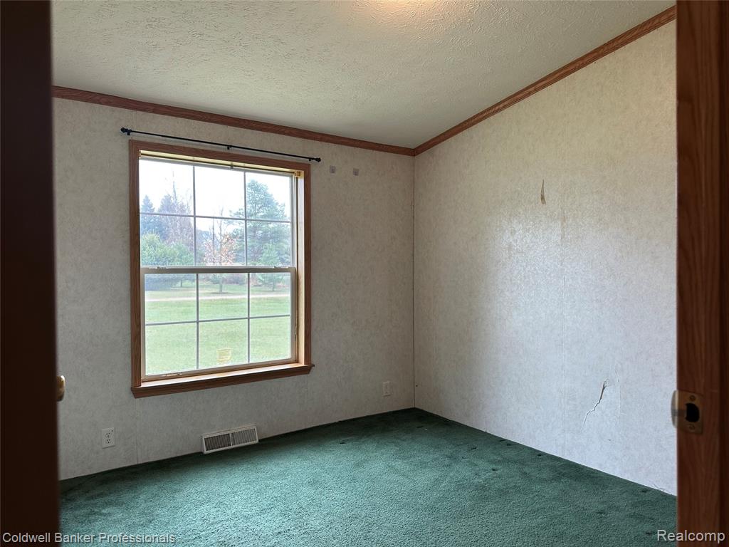1725 East Burnside Road North Branch, MI 48461 - Photo 11 of 18