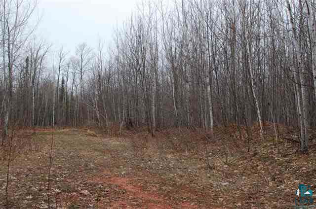 Xx Holt Road Bayfield, WI 54814 - Photo 2 of 9