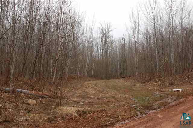 Xx Holt Road Bayfield, WI 54814 - Photo 3 of 9