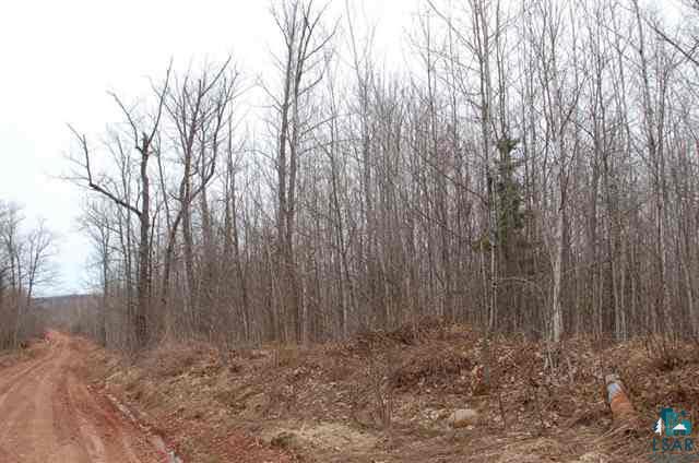 Xx Holt Road Bayfield, WI 54814 - Photo 4 of 9