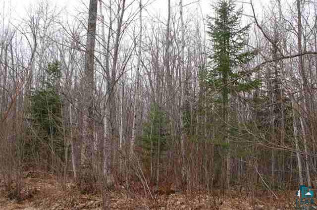 Xx Holt Road Bayfield, WI 54814 - Photo 5 of 9