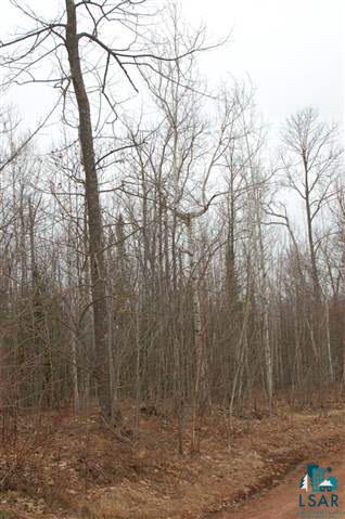 Xx Holt Road Bayfield, WI 54814 - Photo 6 of 9